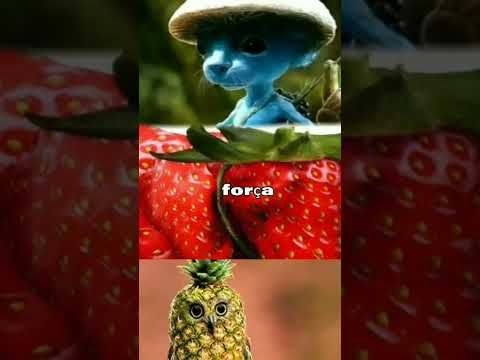 gato Smurf vs elefante morango vs coruja abacaxi