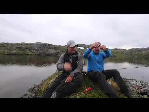 Ørretfiske med Genialduppen og mark