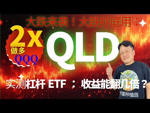 大跌来袭！大跌抄底用：QLD 2倍做多QQQ 纳斯达克100指数基金｜财富种植园 （2025年3月5日）