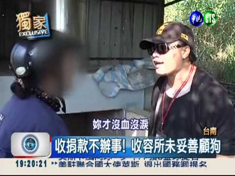 假愛心騙捐款 收容所虐待狗狗!