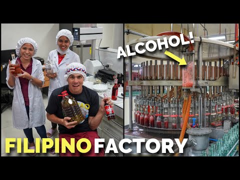 FILIPINO ALCOHOL FACTORY | How Drinks Are Made In The PHILIPPINES