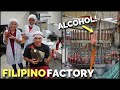 FILIPINO ALCOHOL FACTORY How Drinks Are Made In The PHILIPPINES