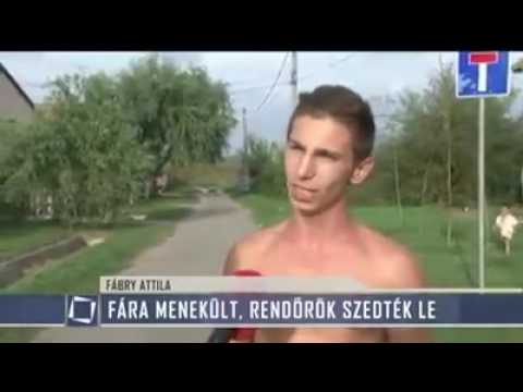 Nem vagyok én Paúkember