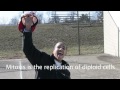 The Chromosome Rap 