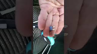 2004 Pontiac Vibe/Toyota Matrix/Toyota Corolla Fuse Replacement