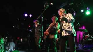 Robyn Hitchcock and The Venus 3 - Kingdom Of Love (Soft Boys song)