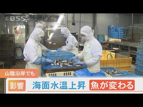 過小評価されている海面の「温度計の効果」