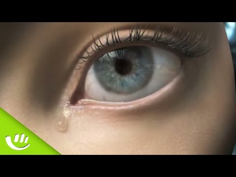 Leider nicht erschienen - 5 gecancelte Spiele, die wir nie sehen werden - Fab5