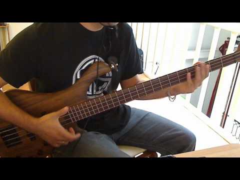Mayones BE Exotic 2008 Amazakoe image 7