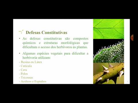 Mecanismos de defesa em plantas (Constitutiva e Induzida)