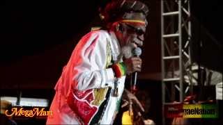 Bunny Wailer @ Rebel Salute 2014