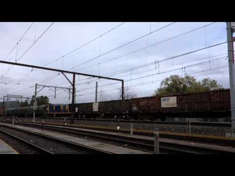 Blue Indian Pacific NR leads a short 3NY3 - 26/8/14