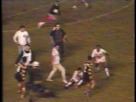 SANTOS 2x3 NOVORIZONTINO - Campeonato Paulista Série A1 1993 - Globo Esporte