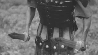 Scattered Trees / Sympathy