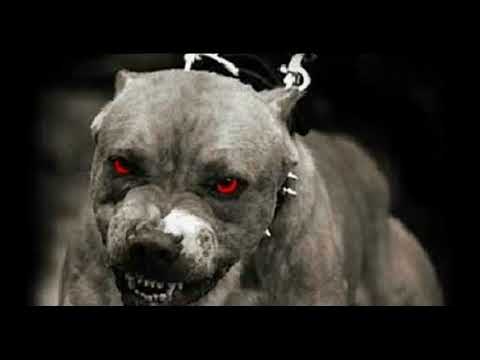 2Pac ft Tech N9ne Freddie Gibbs  Young Buck   Remix Slayers Remix 2018