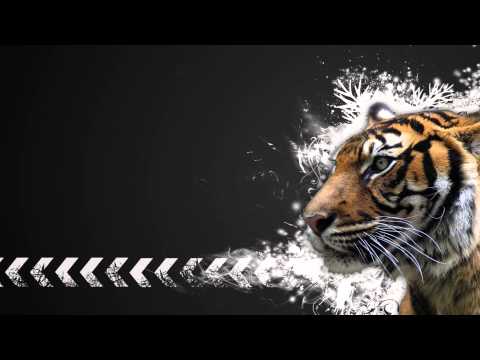 Hardwell & Matthew Koma vs Dannic - Dare You Flare (NextsOne Mashup )