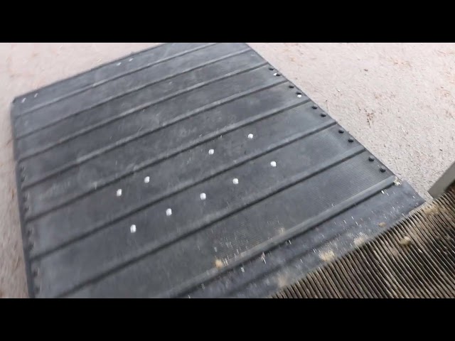 1056714 Mercedes-Benz Sprinter 316 CDI -03 Horse transport