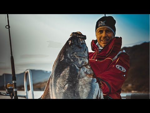 Angelreisen Hamburg - Nordnorwegen - Rognsund