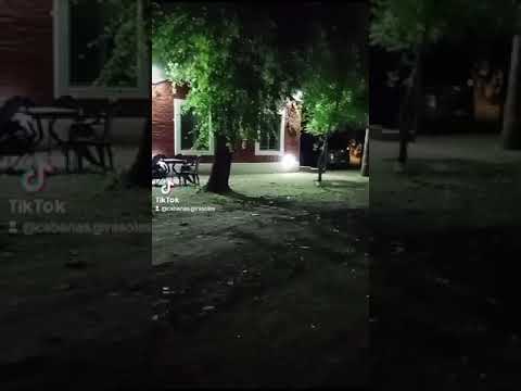 Video de Cabaas Los Girasoles