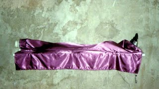 What was the Heaven&#39;s Gate suicide?