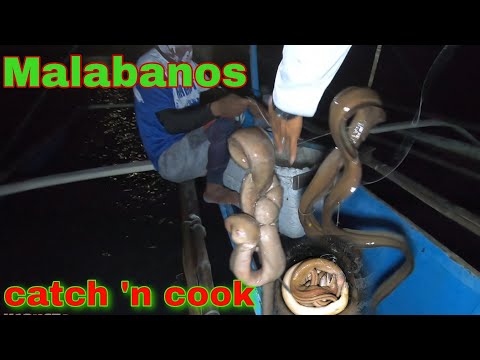 vlog356-Malabanos Catch 'n Cook | Eel Sweet 'n Sour- Part 1