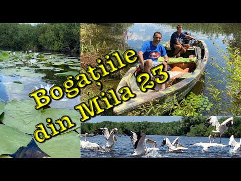DELTA DUNARII-Locuri de vis la MILA 23