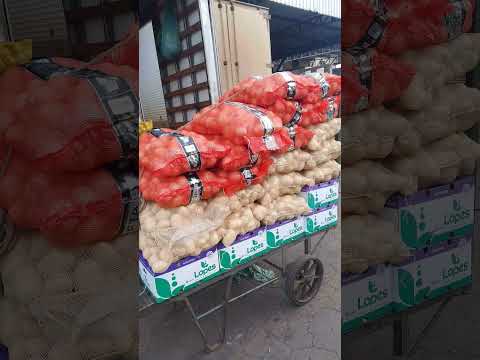 Ceasa de Anápolis Goiás