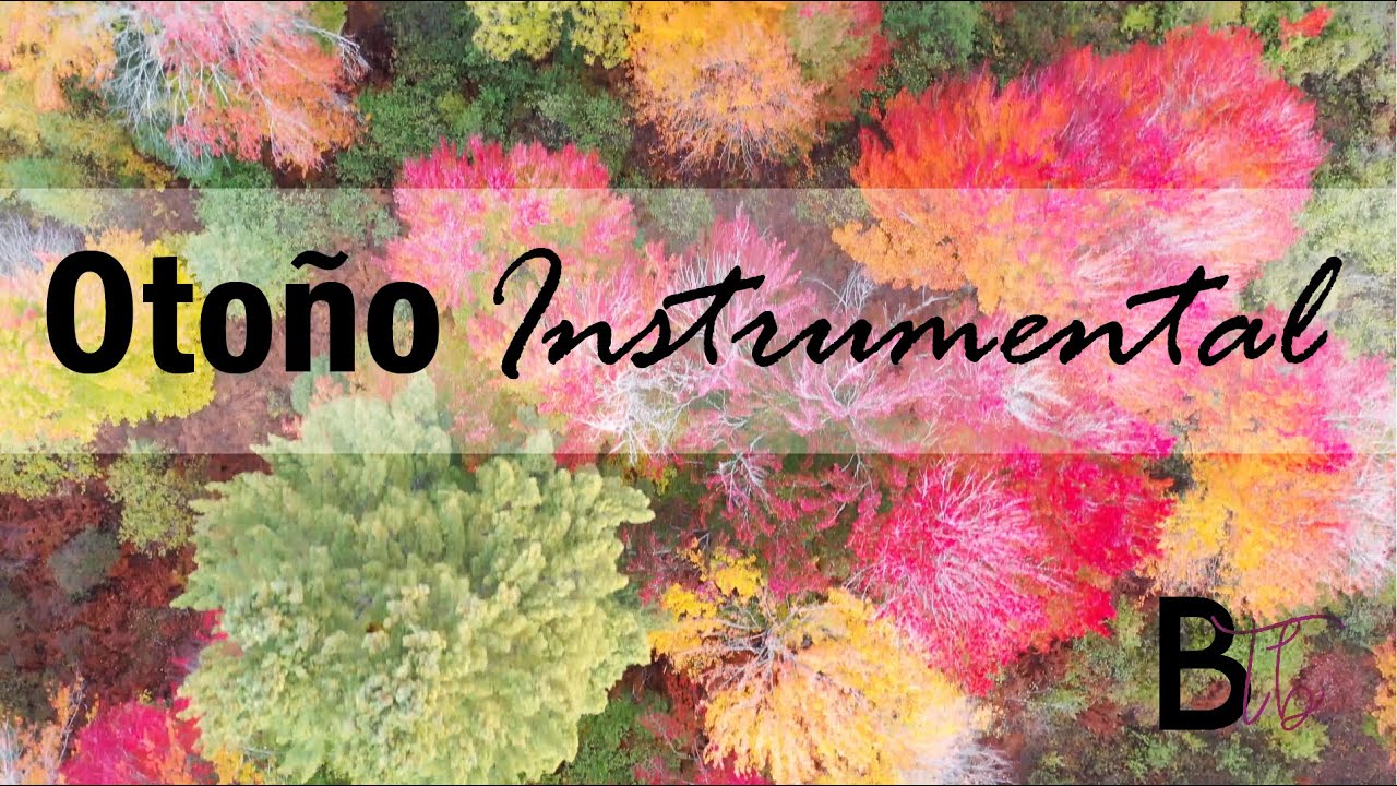 Otoño Instrumental 🍁🍂🍄☁️