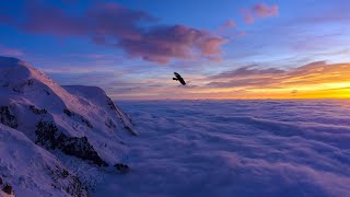 Download lagu Xie Wang Zhui Qi 3 - Opening Completo (Sub español) mp3