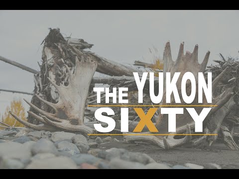 Moose Hunting In The Yukon 2014