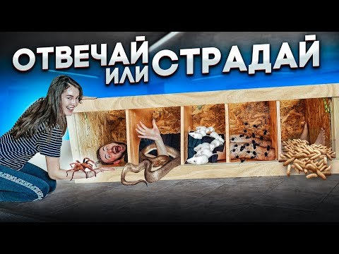 ВАНЯ СТРАДАЕТ НА ОТВЕЧАЙ ИЛИ СТРАДАЙ!!! Ваня VS ядовитый паук, тараканы, мыши...