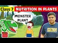 Nutrition In Plants Class 7 Science Class 7 Science Chapter 1 Nutrition In Plants Full Chapter