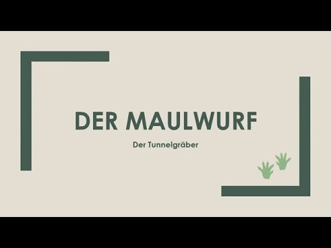 Der Maulwurf einfach und kurz erklärt