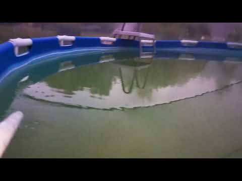 Недостаток ЛетоТент. перегретая вода и как следствие размножения водорослей.