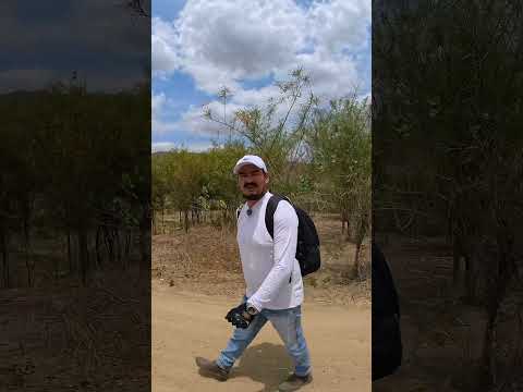 eu estou na antiga vila de couro Dantas na zona rural de riacho das almas Pernambuco