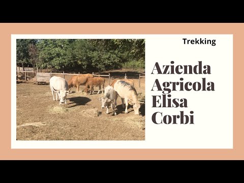 Una GIORNATA in FATTORIA | Azienda Agricola Elisa Corbi