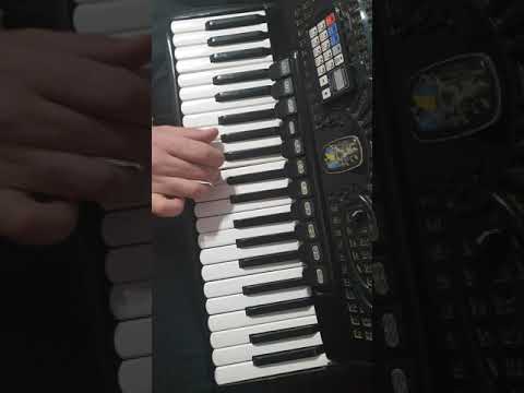 Tutorial Acordeon@Orga Vasile Pandelescu Silviana partea II