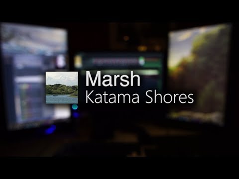 Marsh - Katama Shores