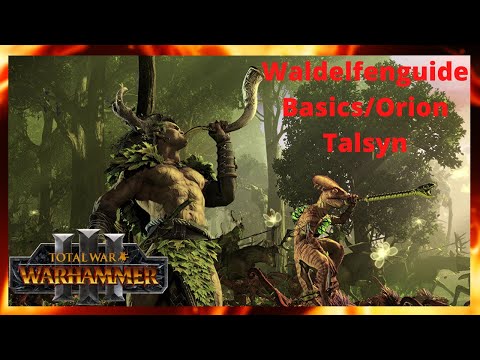 Waldelfenguide für Immortal Empires in Total War Warhammer 3/Orion und Basics/Patch2.3/Deutsch