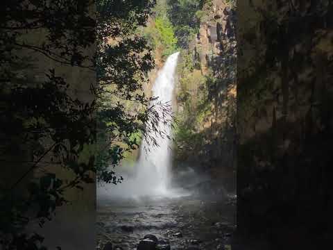 📍Salto de la Princesa, Curacautín #araucania #chile #paisajes #shorts