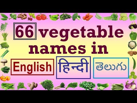 download lagu mp3 mp4 Thotakura In Hindi, download lagu Thotakura In Hindi gratis, unduh video klip Thotakura In Hindi
