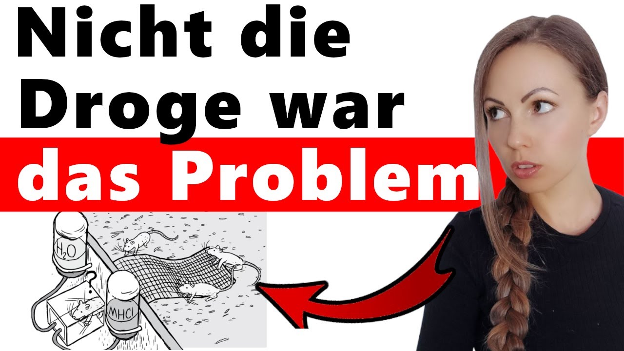 Rat Park: Dieses Experiment stellte alles auf den Kopf