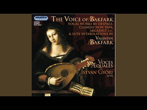 Dormend'un giorno a Baia