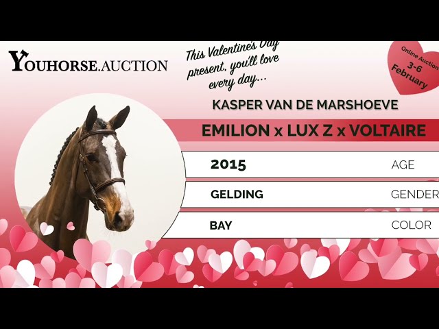Kasper @ show outdoor deurne