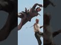 JET LI Fight In The Sky FEARLESS 2006