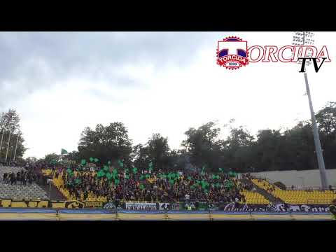 Doping z meczu ROW Rybnik - Ruch Chorzów 10.10.2020