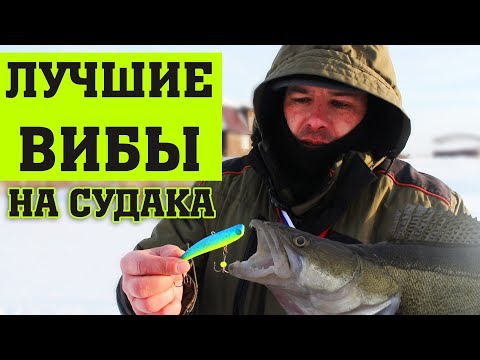 ЛУЧШИЕ ВИБЫ НА СУДАКА. Ловля судака зимой на раттлин. Как поймать судака на виб. Kamfish