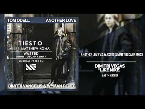 Another Love vs. Wasted (Ummet Ozcan Remix) | DV&LM Mashup |