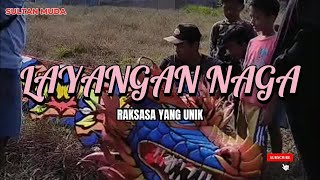 Wow! Layang Layang Naga Super Besar yang Menakjubkan