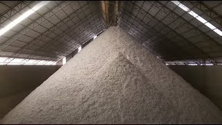 A verdadeira indústria do algodão #JORNADADOALGODAO